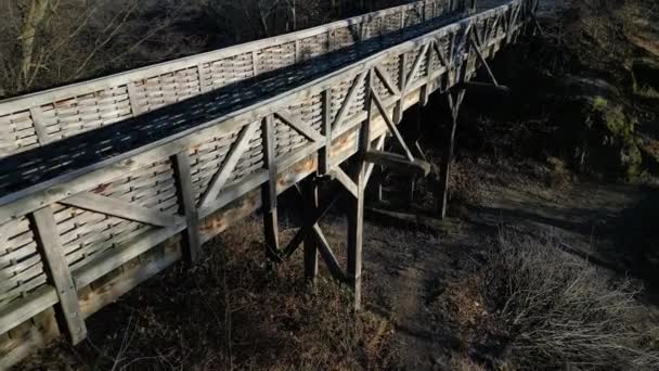 Madera Roble Medieval Atornillada Puente Sobre Foso Construido Según Diseño — Vídeos de Stock