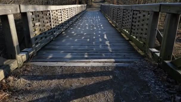 Medieval Oak Wood Screwed Bridge Moat Built According Contemporary Design — Stock Video