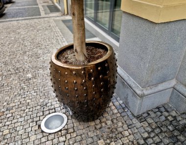 Parlak metalik renkte oval bir saksıda top şeklinde çıkıntılar. Bir otelin, restoranın ya da kamu binasının girişine temsili bitkiler dikmek için. seramik jöle