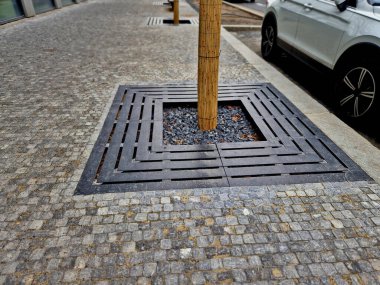 trees planted in a large paved area of the pedestrian zone pavement need to breathe roots and therefore there are larger cracks between the blocks with gravel rainwater can soak up, reed mat, bark