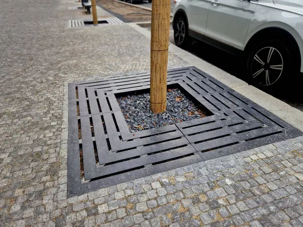 trees planted in a large paved area of the pedestrian zone pavement need to breathe roots and therefore there are larger cracks between the blocks with gravel rainwater can soak up, reed mat, bark