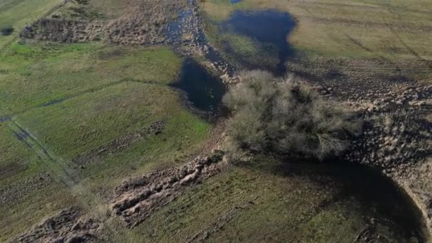 Agua Paisaje Primavera Los Derrames Inundación Sobre Los Prados Drenaje — Vídeo de stock