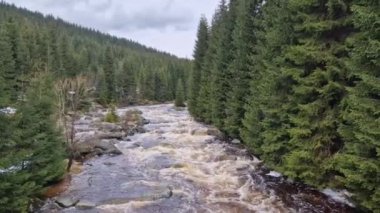 Kayaların arasındaki nehirdeki köpüklü su, serbest kalan barajdan ve ıslak bataklıklardan gelen sel dalgası. Paslı renk çözünmüş demir maddelerini, nehri gösterir.