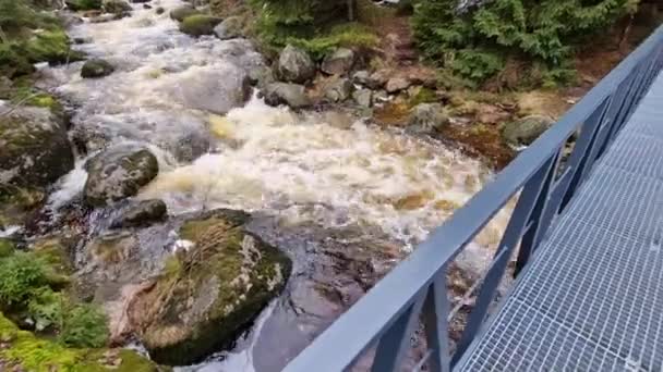 Éléments Enragés Eau Dans Une Rivière Montagne Mât Bois Endommagé — Video