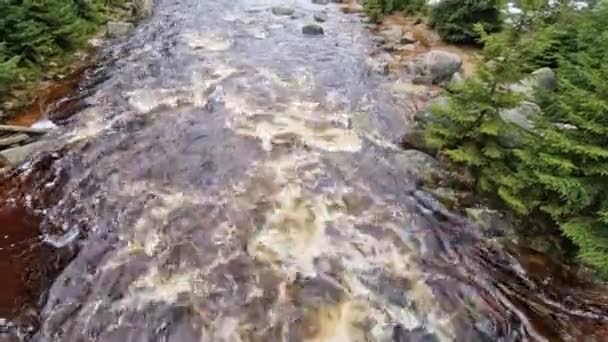 Inundou Água Espumosa Rio Nas Montanhas Entre Pedregulhos Onda Inundação — Vídeo de Stock