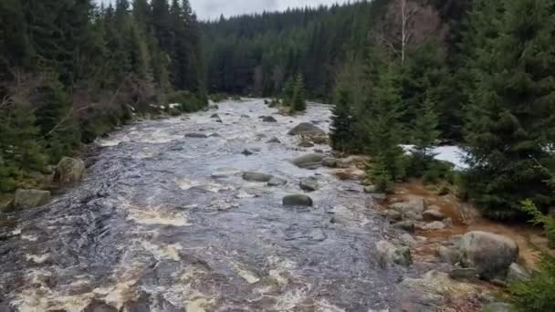 Πλημμυρισμένο Αφρώδες Νερό Στο Ποτάμι Στα Βουνά Μεταξύ Των Βράχων — Αρχείο Βίντεο