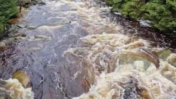 Das Schäumende Wasser Fluss Den Bergen Zwischen Den Felsbrocken Die — Stockvideo