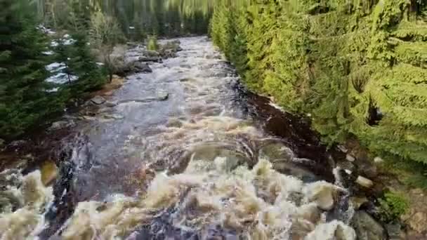 Inundou Água Espumosa Rio Nas Montanhas Entre Pedregulhos Onda Inundação — Vídeo de Stock