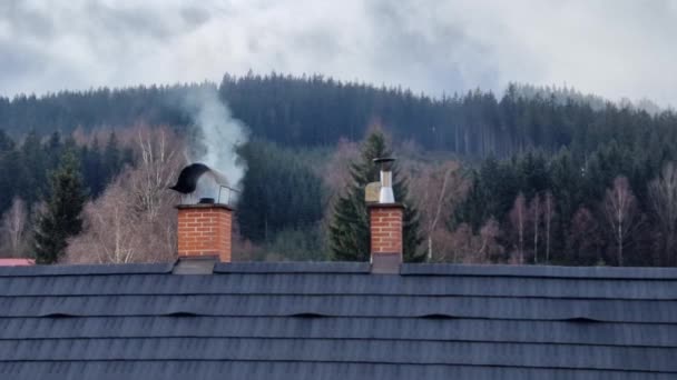 Luchtverontreiniging Met Vaste Brandstoffen Steenkool Cokes Hout Stuifmeel Briketten Kunnen — Stockvideo