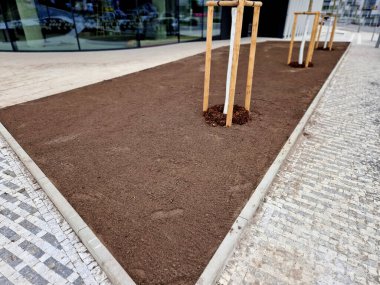 Toprağı hazırlamak, çim ekmek için toprağı tartmak. Yeni dikilmiş ağaçlar üç kazıkla güvenceye alınır..