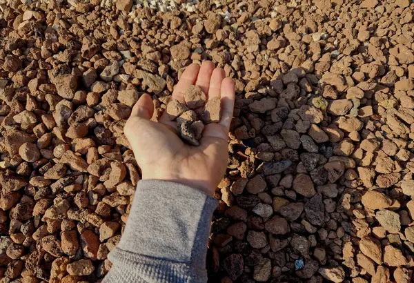 man holds in his hand a sample of stone gravel or pebbles of one size. Marble white gravel and gray brown pebbles straight from the quarry. sample, gray