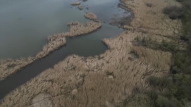 Göletlerle dolambaçlı dere. İnsanlar zigzag çizelgesini yeniledi. Memeliorasyonu iptal ettiler. Manzaradaki suyu muhafaza etmek için önlemler alındı. Boğulmuş bir ağacı olan gölet, kürk gibi donmuş çimlerle çevrilidir.