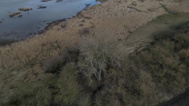 Vinoucí Potok Rybníky Lidé Obnovili Kličkování Zrušit Melioraci Opatření Udržení — Stock video