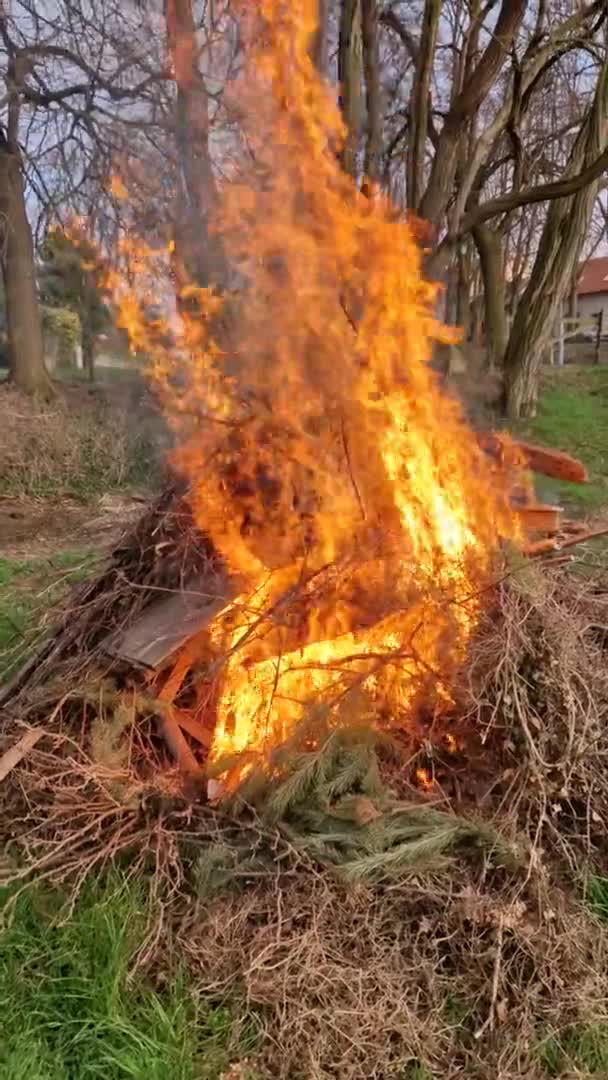 山に枝を燃やすことは 庭をきれいにするための迅速かつ効果的な方法です しかし 火災規制を遵守し 寛容な隣人と交渉する必要がある — ストック動画