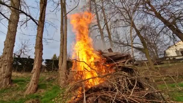 山に枝を燃やすことは 庭をきれいにするための迅速かつ効果的な方法です しかし 火災規制を遵守し 寛容な隣人と交渉する必要がある — ストック動画