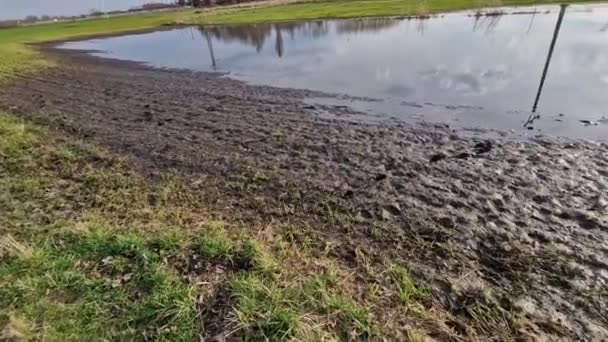 公園内の水浸し土壌は 春の雨から水を受け取らない 不十分に実行された排水または割れた自動灌漑パイプラインは 洪水を作成しました 道路の近くの道路事故 — ストック動画