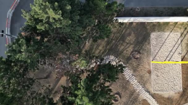 Ławka Kształcie Koła Drzewem Rosnącym Środku Huśtawki Piaszczyste Ścieżki Parku — Wideo stockowe