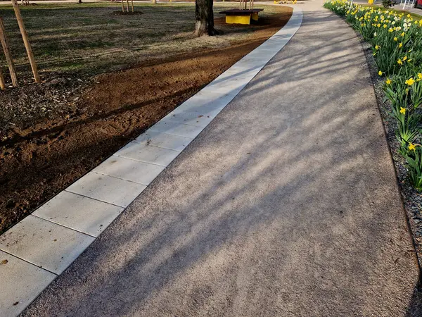Bahçede çiçek açan ampul şeritleri, sokaktaki uzun yıllık çiçek tarlalarının yerini alıyor. Daha ucuz ve daha etkili çiçek versiyonu. Toprak yol boyunca ağaç, ara sokak, ağaçlar, çizgiler.