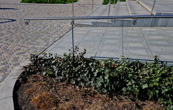 the glass railing fillings are attached to the stainless steel tubular frame with the help of screws through the glued safety glass. a flower bed with grasses in the background, roof garden terrace