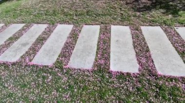 Beton yol çimenlik dikdörtgen şekilli düzenli şebeke doğrudan güzel çimenlik güneşler ve gölgeli taşlar, beton büyük levhalar, levhalar, dikdörtgen, demiryolu bağları