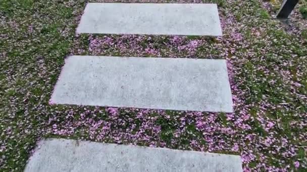 混凝土小径草坪踏板矩形形状的规则网格直接穿过美丽的草坪太阳和阴影石 混凝土大石板 铁路领带 — 图库视频影像