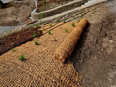 Erozyona karşı geniş bir yamaç sağlamak için çimleri tekstil ile kaplamak. Dik yamaçlar için hindistan cevizi ağını dengeleyen kahverengi jüt kumaş kullanıyor. Şiddetli yağmurda toprak ağ sızdırmaz.