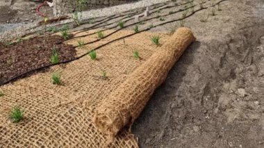 Erozyona karşı geniş bir yamaç sağlamak için çimleri tekstil ile kaplamak. Dik yamaçlar için hindistan cevizi ağını dengeleyen kahverengi jüt kumaş kullanıyor. Şiddetli yağmurda toprak ağ sızdırmaz.