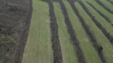 Çayırların daha küçük alanlara bölünen orman şeritlerine ayrıldığı arazi ekolojisi. Hayvanlar burada saklanıp yuva yapabilir.