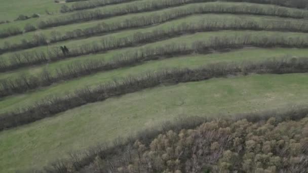 Ekologia Krajobrazu Gdzie Łąki Podzielone Pasma Lasów Dzielące Się Mniejsze — Wideo stockowe