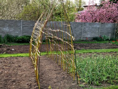 Hasırdan yapılmış bir söğüt tüneli sürünen bitkiler için bir destektir. Salatalık ve kavun gibi sebzeler, kalıba yenik düşmeyecekleri bir kafese asılabilirler.
