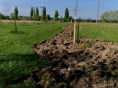 Çayırdaki biyokoridor çalılı yeni yataklarla büyüyecek. Ağaçlar dikildi ve çiftçi tarlayı sürerek toprağı şeritler halinde hazırladı.