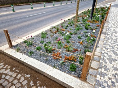 Süslü bir çiçek tarhı ve metal ve betondan yapılmış istinat duvarlarının çok etkili bir kombinasyonu. filizlenen otlarla dolu laleler.