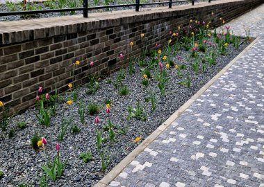 Süslü bir çiçek tarhı ve metal ve betondan yapılmış istinat duvarlarının çok etkili bir kombinasyonu. filizlenen otlarla dolu laleler.