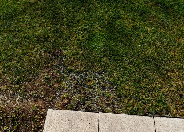 installation of a plastic mat as a substitute for lawn. plastic permeable tiles are filled with a fine putty. under the benches is a reinforced grass paving