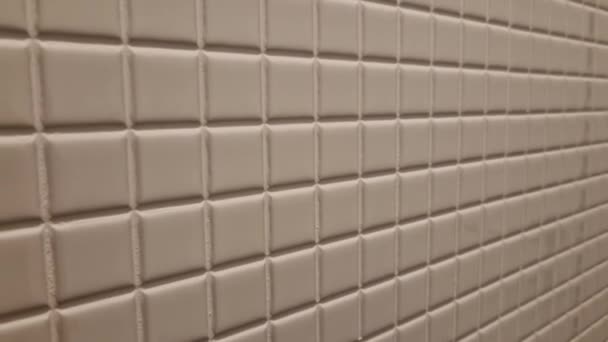 尿壶内衬白色瓷砖正方形纹理马赛克 壁挂式冲水马桶和隐蔽冲水用两个按键多喝水和少喝水 — 图库视频影像