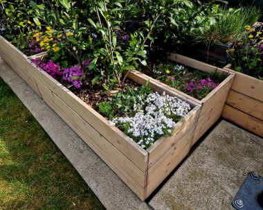 Doğal ladin tahtalarından yapılmış çiçek saksıları. Şirketin önündeki otoparkta, mağazanın yanındaki terasta müşteriler için bir park yeri var. kaya bitkileri ve çalılar