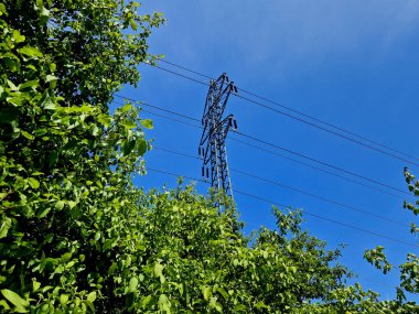 overgrown bushes and trees encroaching on high-voltage wires must be trimmed in time. distribution companies cut down stands for electricity lines as a precaution clipart