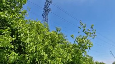 Yüksek voltajlı kablolara saldıran ağaçlar ve çalılar zamanla budanmalı. Dağıtım şirketlerinin kesilmesi önlem olarak elektrik hatlarını temsil ediyor.