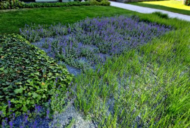 Düzenli olarak, dikdörtgen şeklinde çiçek açan daimi yatak desenleri.
