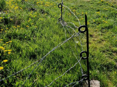 Siperlerdeki tel bariyerlerin arkasında silah pozisyonu. Kemerlerin altına giren ve havan topu menzilindeki zırhlı araçları durduran metal kirpilerden yapılmış tanksavar tedbirleri.