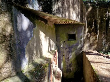 Nesli tükenmekte olan bir ülkenin sınırlarındaki ormanlarda kaybolan devasa yapılar. Siperler ve embriyolar, gelmeyen düşmana nişan alır. Savunma anıtı