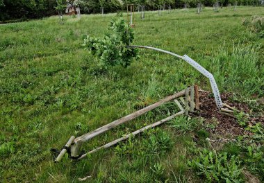Bir araba ağaca çarptıktan sonra parkta kökünden sökülmüş bir ağaç, pahalı bir ekime zarar vermiş.