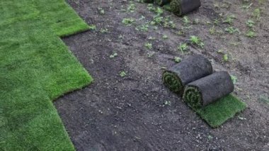 Aile bahçesinde çimen döşemek. Toprağın sürülmüş yüzeyine bir tomar çimen sürüldü. Aşınma ve kurumaya karşı gelişim ve kaldırım önemlidir.