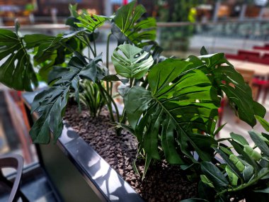 Yapay plastik çiçekler. Alışveriş merkezindeki bir atari salonunda bir restoranda bir masada. Çiçekli gerçekçi dekorasyonlu yemek salonu.