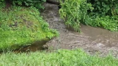 İki akarsuyun birleştiği yerde daha çok yağmur yağdığını görebilirsiniz. Fırtına ve sağanak yağış sadece bir havzayı vurdu ve tarlalardan bol miktarda çamur ve toprak taşıdı. Sel önleyici ölçüm eksikliği