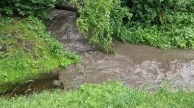 İki akarsuyun birleştiği yerde daha çok yağmur yağdığını görebilirsiniz. Fırtına ve sağanak yağış sadece bir havzayı vurdu ve tarlalardan bol miktarda çamur ve toprak taşıdı. Sel önleyici ölçüm eksikliği
