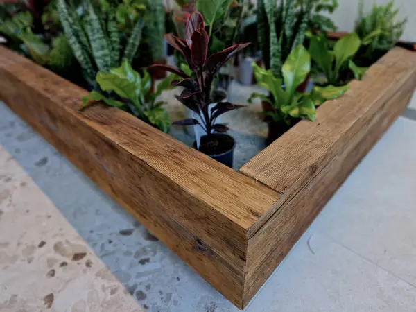 stock image planting indoor plants in pots. hydroponic system with watering indicator with float. zeolite substrate is suitable for indoor plants, as pathogens and insects do not multiply in it