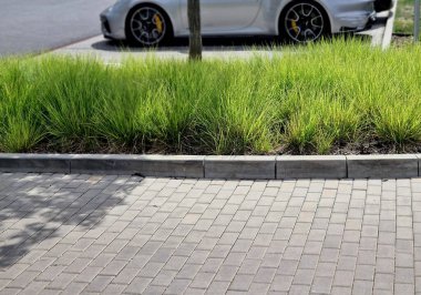 grass bed on the promenade. on the edge of the flower bed are pillar lamps with a beveled top. striped pavement on the promenade. grasses have dry stems like hair