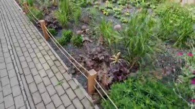 Uzun ömürlü çam ağaçları, gri granit kayalar, saman kabuğu ve çakıl taşlarıyla süslemeli çiçek yatağı park yeri alışveriş merkezinin yanındaki şehir merkezinde..