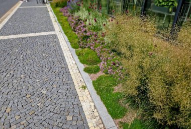 Kırsal kare, sarı uzun ömürlü olanlar, dikey kalaslarla çitli bir çit boyunca bir çiçek tarhında çiçek açıyor. Halka su içirmek için çeşme ve oturaklar